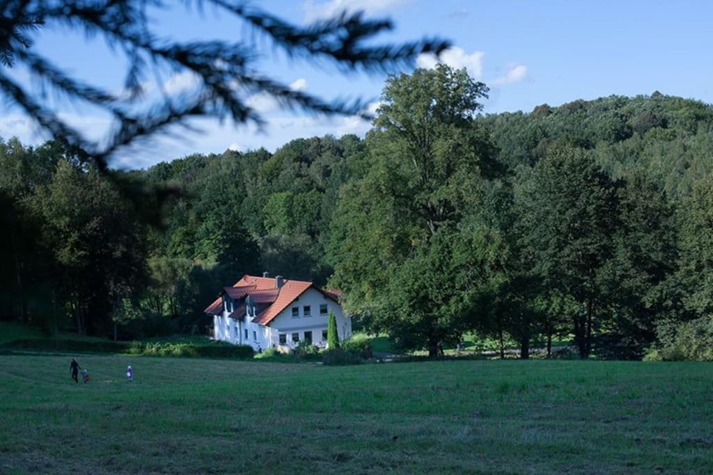 Wald-Apartment Limbach-Oberfrohna Exterior photo